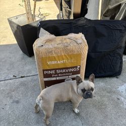 Pine shavings for small animals