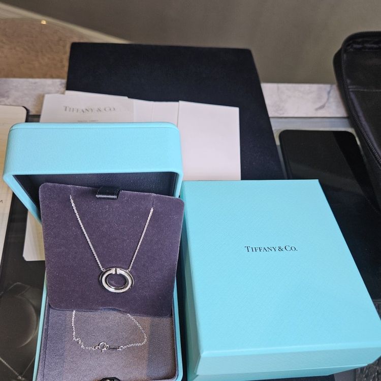 Tiffany & Co. Diamond Circle Pendant 18k White Gold (BNIB w/ Gift Receipt)