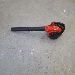 Echo Leaf Blower
