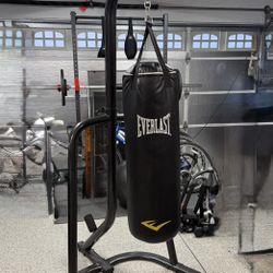 Everlast Heavy Bag Stand With 80 lb Bag