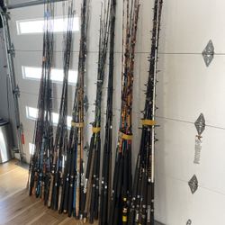 LOTS OF FISHING RODS, OCEAN, LAKE. EVERYTHING YOU NEED