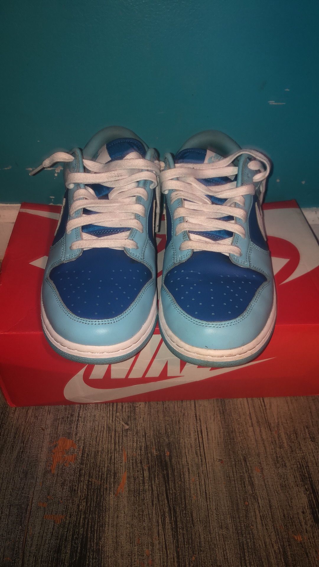 Nike Dunks Argon Size 9