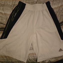 Adidas Men's Shorts 