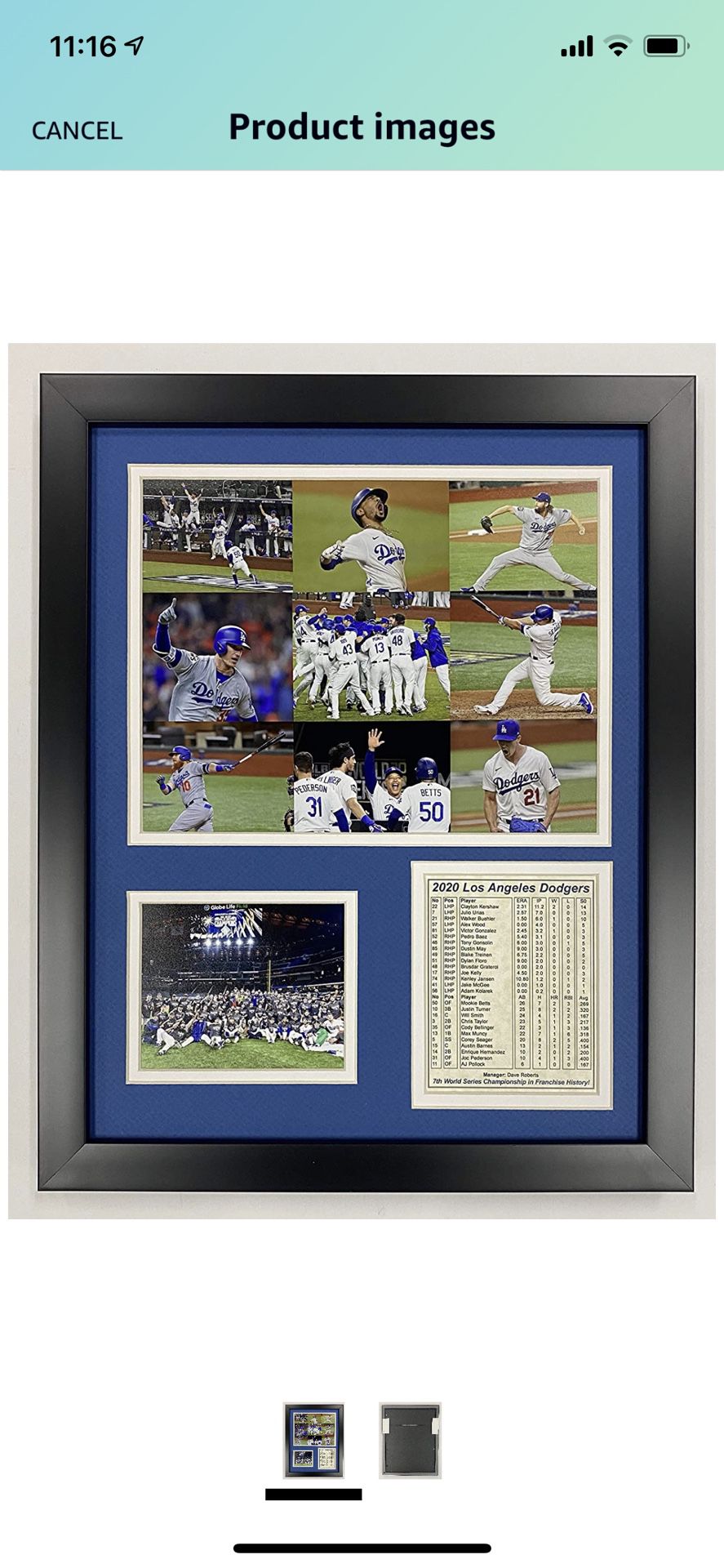 Dodgers 2020 World Series Memorabilia