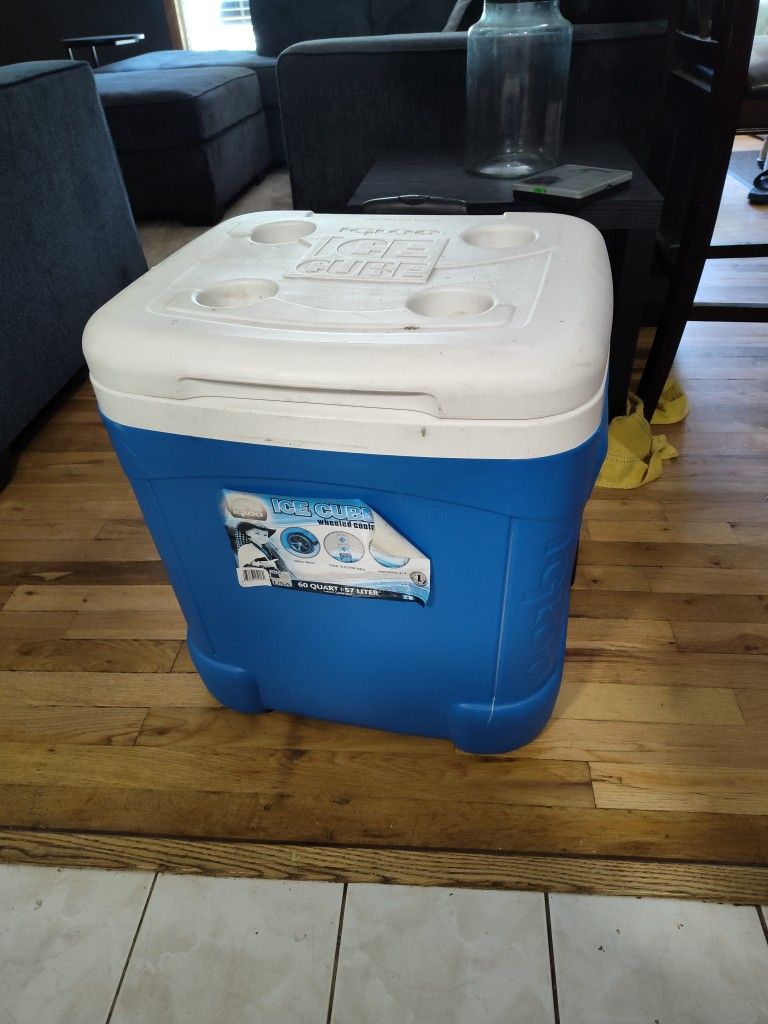 Igloo Ice Cube Cooler