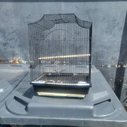 Bird Cage 