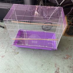 Medium Bird Cage