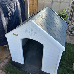 Dog House