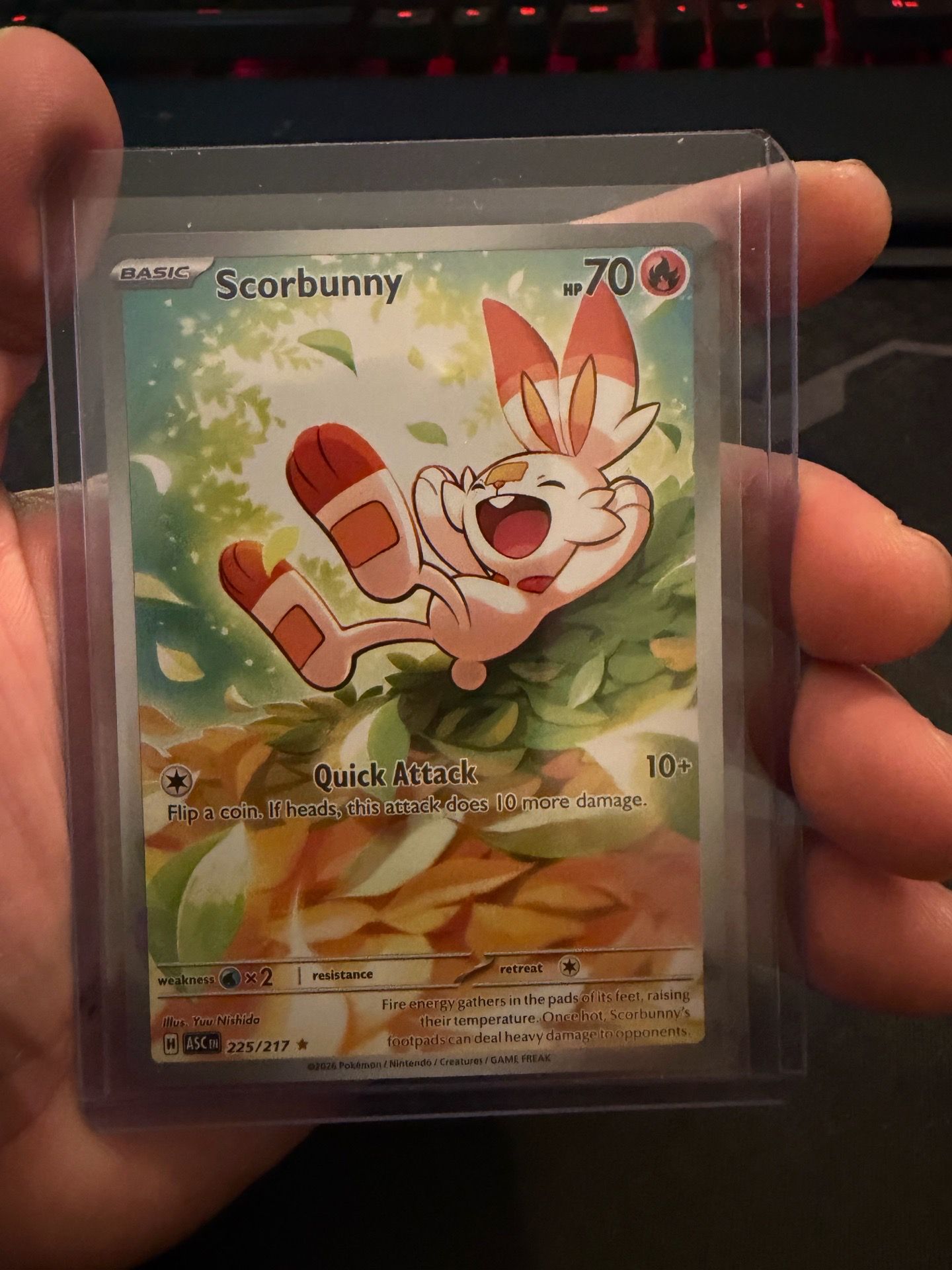 Scorbunny 225/217 IR Ascended Heroes