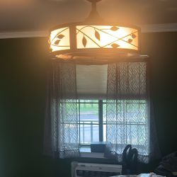 Ceiling Fan With Light