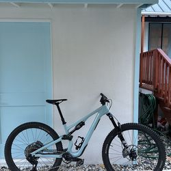 Specialized Stump Jumper 15