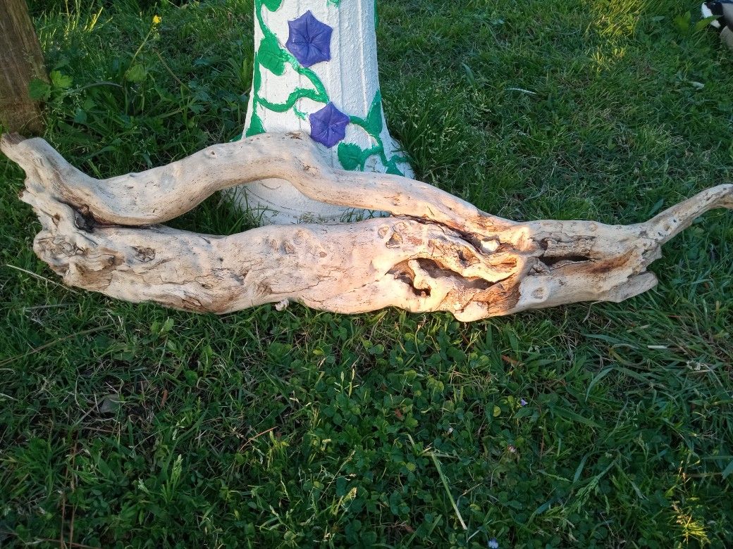 Cool Driftwood