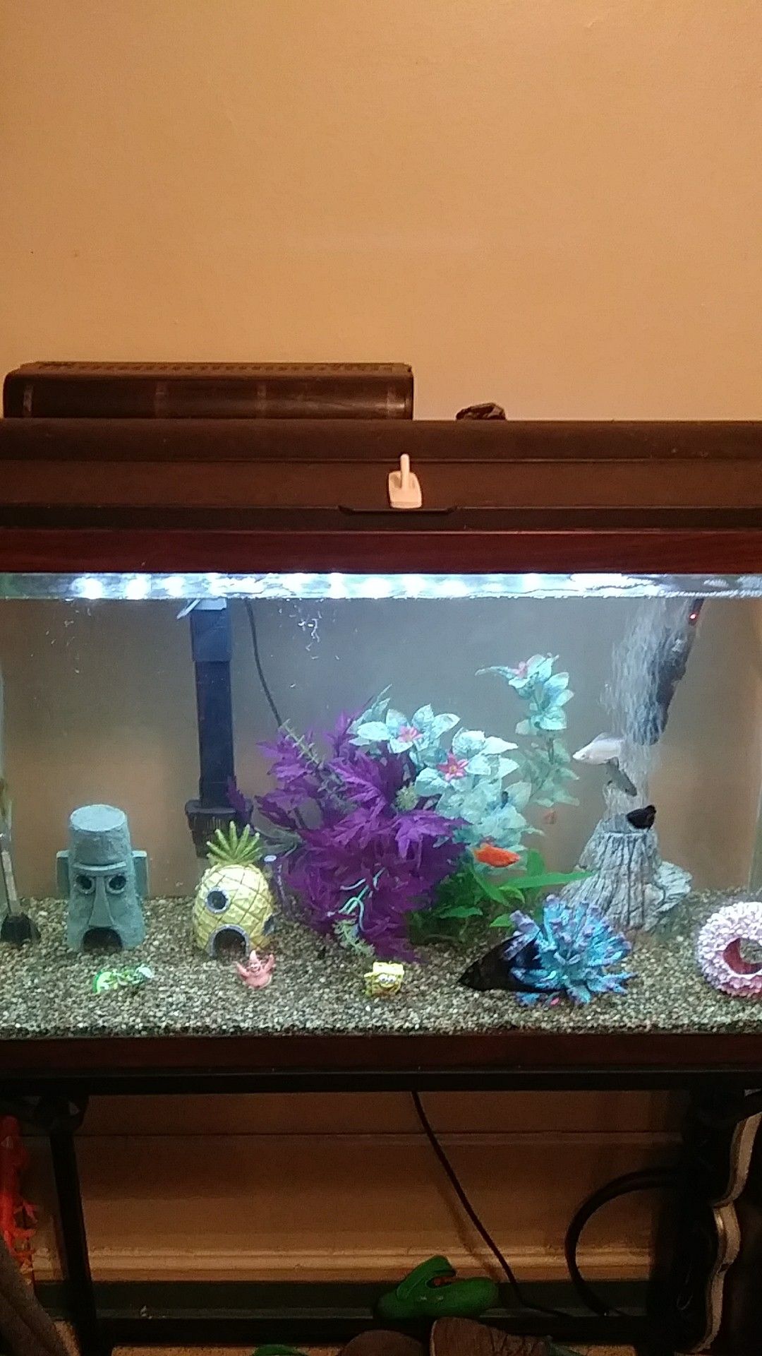 *(FISH NOT INCLUDED)30 gallon 20 in high fish tank