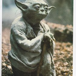 1980 Star Wars The Empire Strikes Back Yoda In The Forest Glossy Photo 8x11