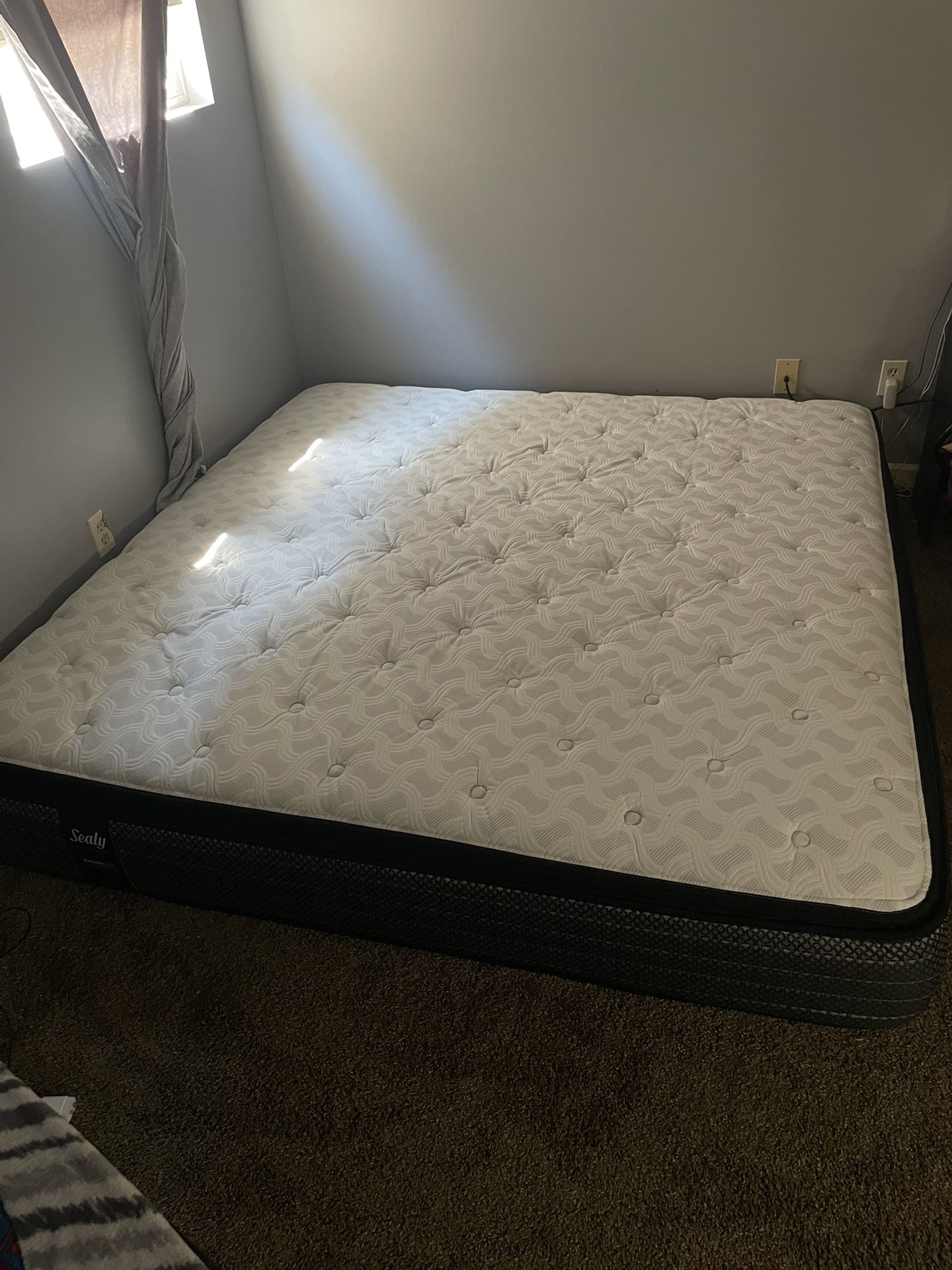 King bed - Sealy