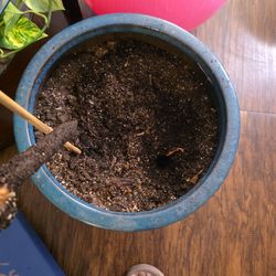 Large Turquoise Ceramic Planter Pot – Heavy Glazed Indoor/Outdoor