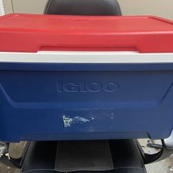 Cooler Igloo