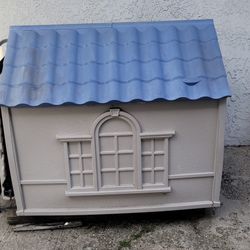 Dog House 