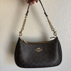 Preowned Coach Leather Teri Purse Bag