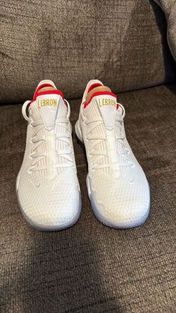 LeBron James Shoes
