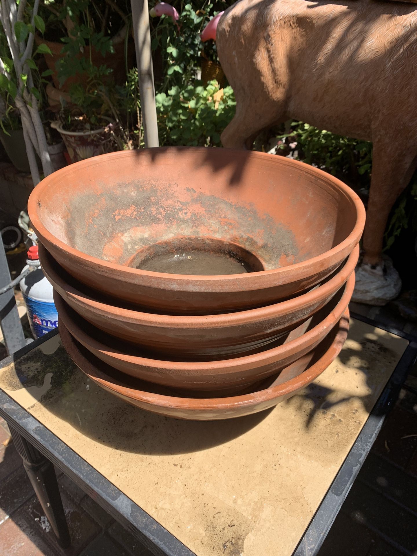 Big Terracota Pots. $15 Each.