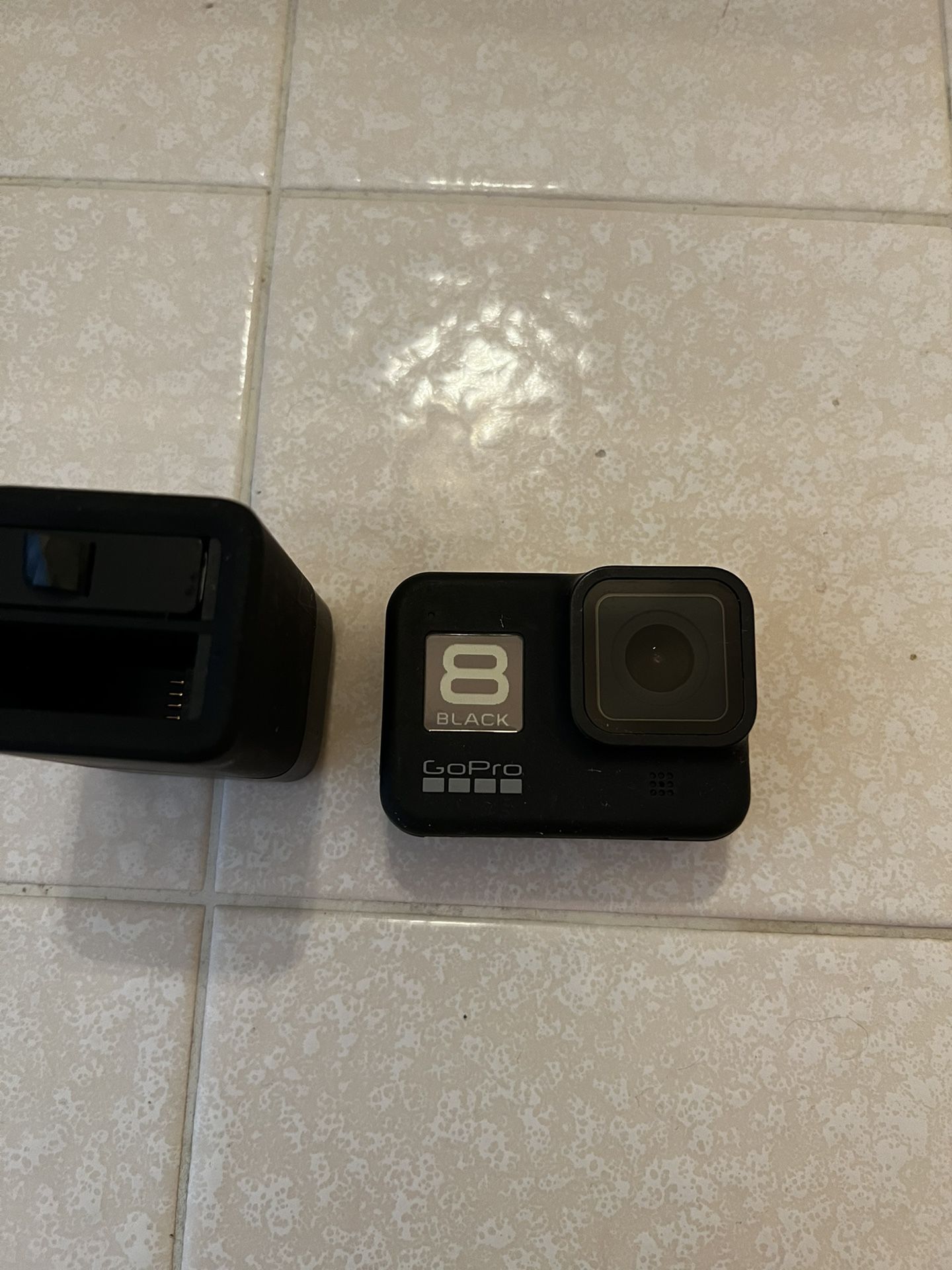 GoPro Hero 8 Black/dual Battery Charging Case