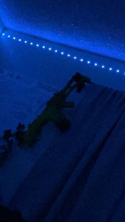 Splat gun