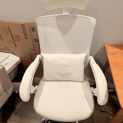 Ergonomic Office Chair