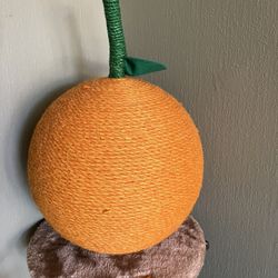 New Tangerine Cat Scratcher 