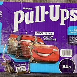 Pull .ups 5T/6T   84ct 