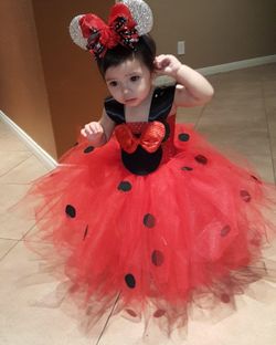 Beautiful Princess Dress Lady Bug