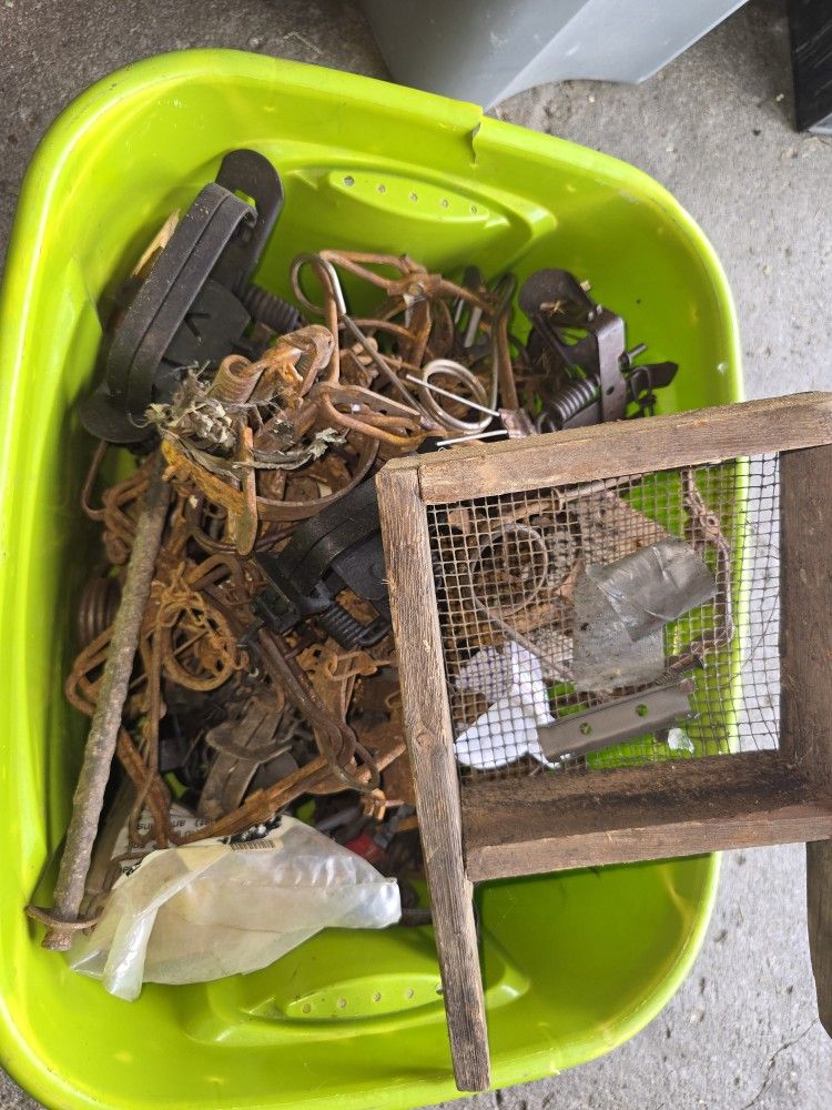 Hunting Traps