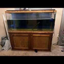 55 Gallon Fish Tank With Stand And Tops Only
