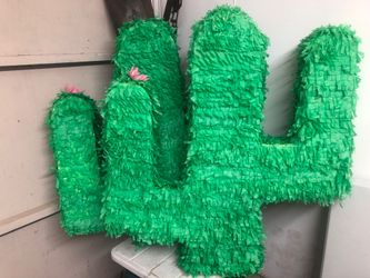 Cactus for Mexican party