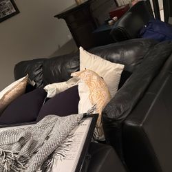 Leather Sectional