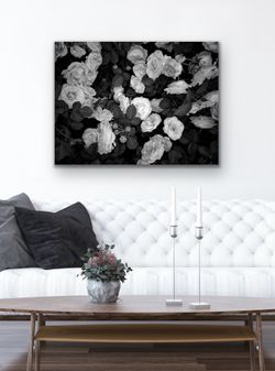 Botanical by Matt LaCross