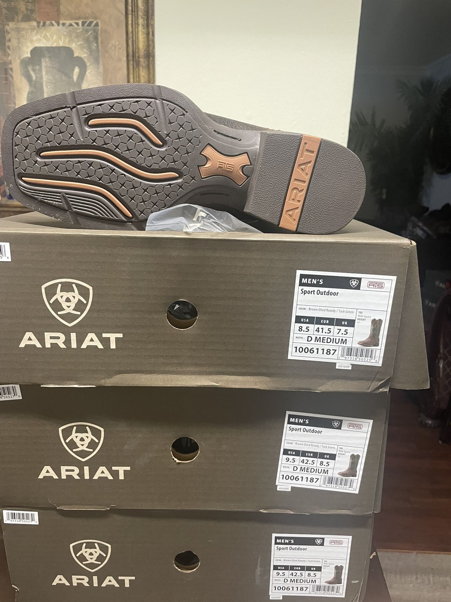 Ariat Boots