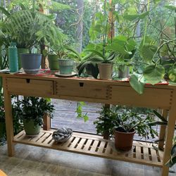 IKEA Wood Butcher Block Kitchen Island 