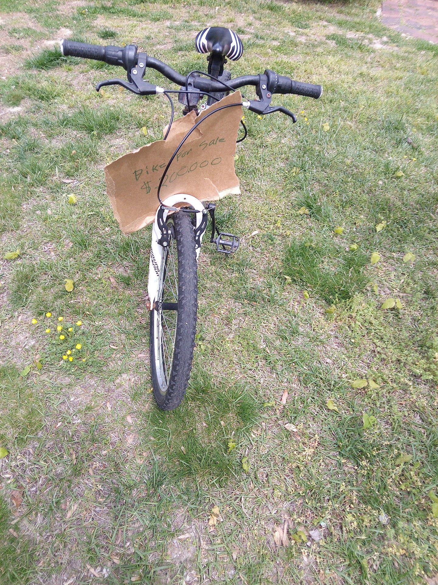 Dous ride good
