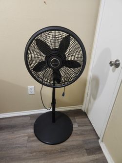 Large fan that oscillates from side to side