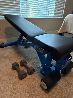 REP Workout Bench