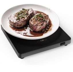 Electric Food Warmer Plate with Digital Display