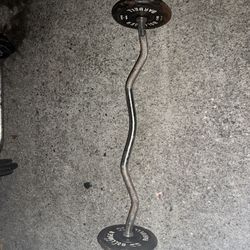 Curl Bar & Weights 