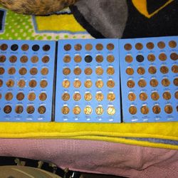 Lincoln Pennies (1(contact info removed)s)