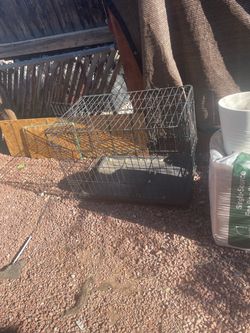 Dog crate