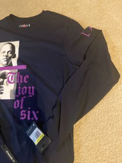 Jordan six joy of the 6 small