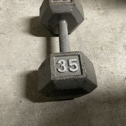 35 lb dumbbell