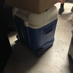 Blue Cooler 