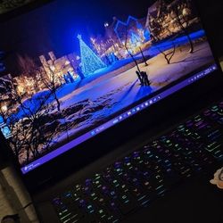 MSI GE76 Raider Gaming Laptop