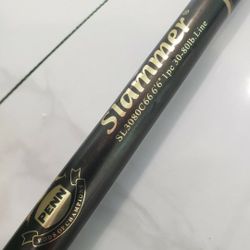 Penn Slammer Rod 30-80 Great Condition